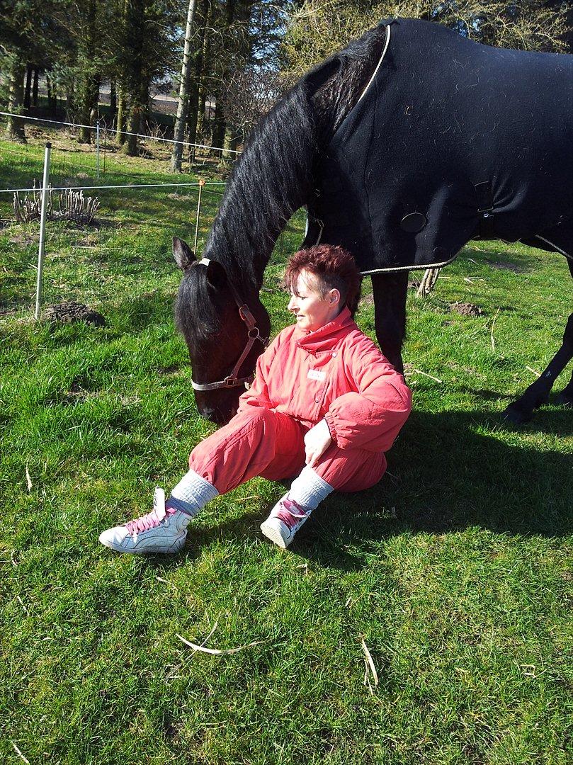 Traver Noir Speed billede 10