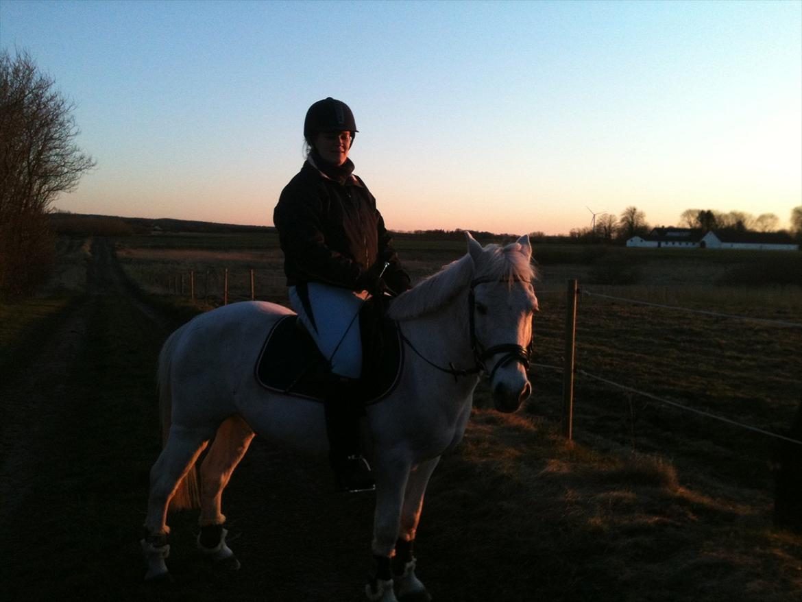 Anden særlig race Mr Playboy - Min første aftentur på Boysen efter jeg har fået ham igen billede 4