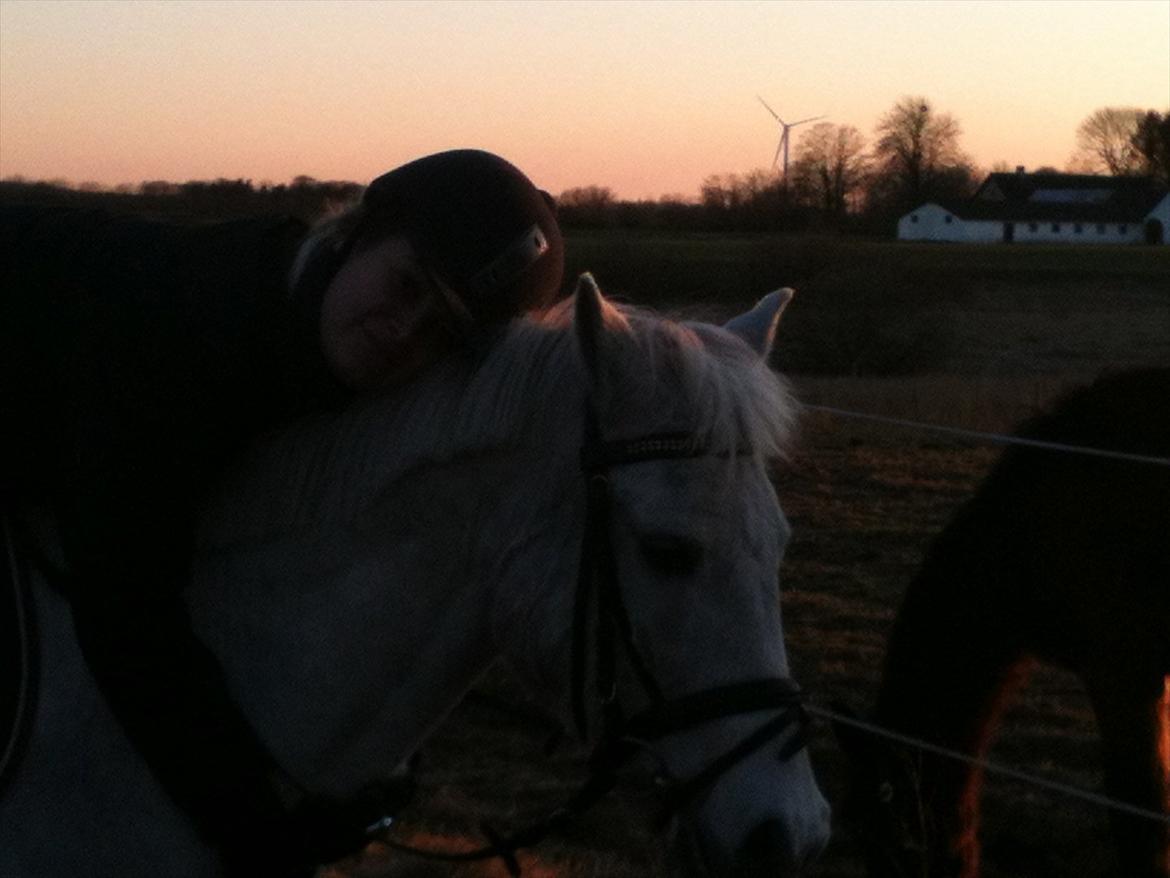 Anden særlig race Mr Playboy - Dig og mig for altid.... billede 5