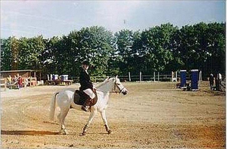 Anden særlig race Mr Playboy - Playboy og jeg i de gode gamle dag billede 9