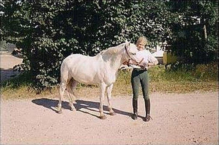 Anden særlig race Mr Playboy - Playboy og jeg i vores unge dage billede 10