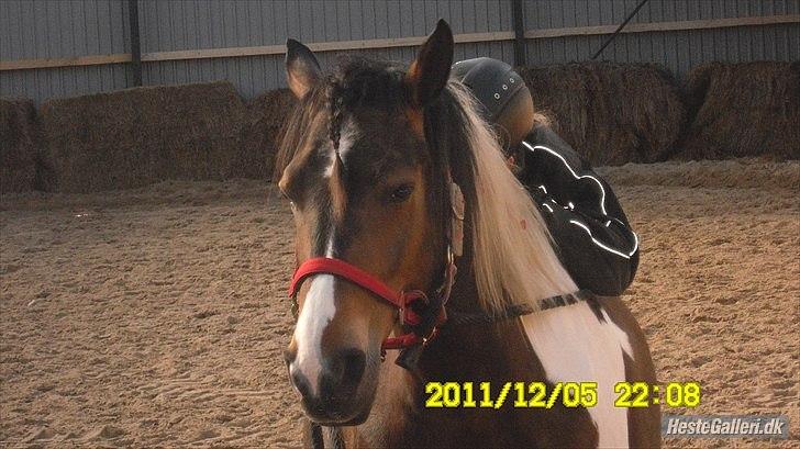 Pinto Søholt's Teepee"Goodbye my savior" - Vi går i ét når vi er sammen!<3 billede 2