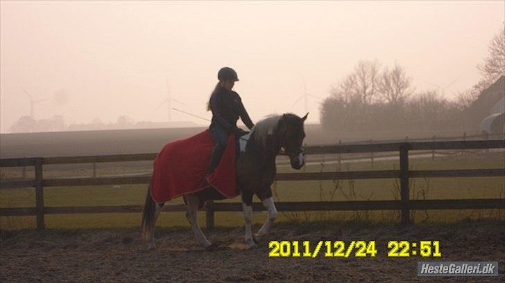 Pinto Søholt's Teepee"Goodbye my savior" - Vi har stoltheden med os!<3 billede 3