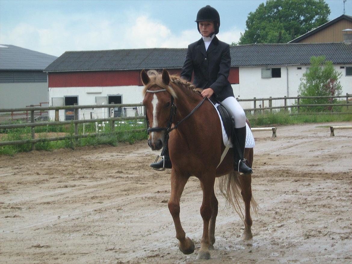 DSP Robin - Elsker dig skat!<3 billede 1