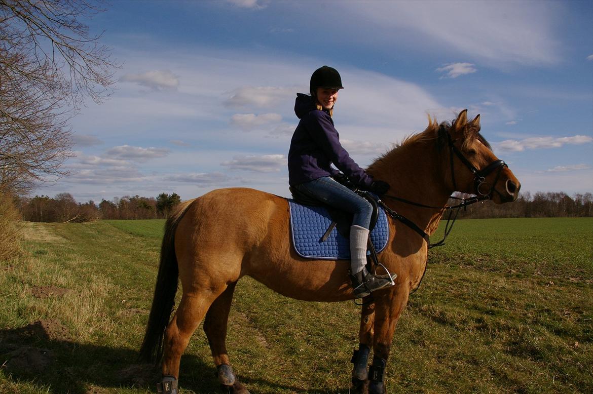 Anden særlig race Topsy SOLGT billede 8