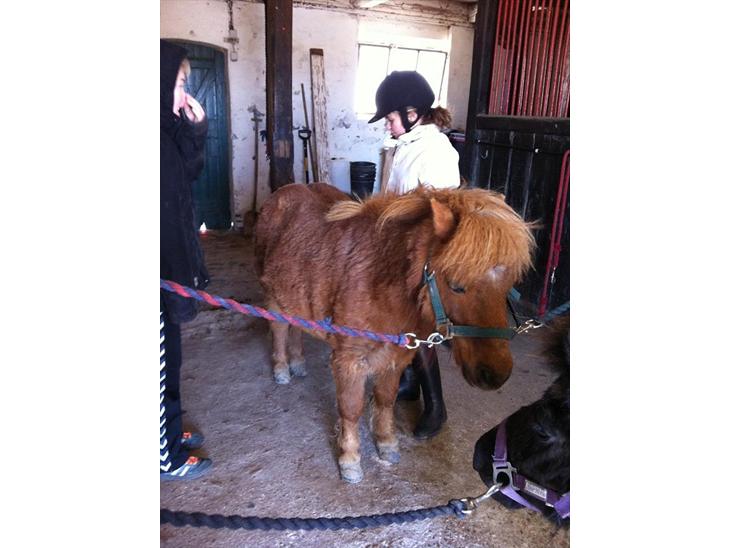 {{currentPhoto.altText}} billede {{currentPhoto.number}}