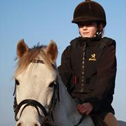 Welsh Pony (sec B) Rosie