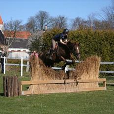Anden særlig race Donna