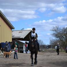 Anden særlig race Chiffon la bevuee