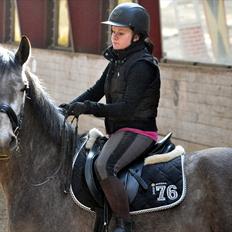 Anden særlig race Hegnsholts Felix