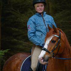 Anden særlig race † Stald Gunnartoft's Safir †