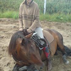 Oldenborg Murmann's Pil