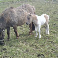 Dansk Miniature sofus de luxe.