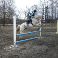 Anden særlig race Lazey Boy