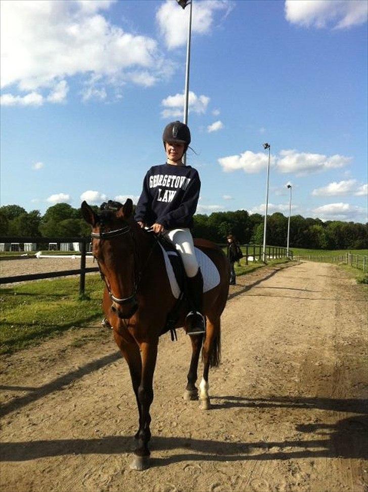 Welsh Cob (sec D) Ciska*prinsessen* [Red] - efter vores lille lc1 program, hvor vi kom på en 5. plads:D billede 6