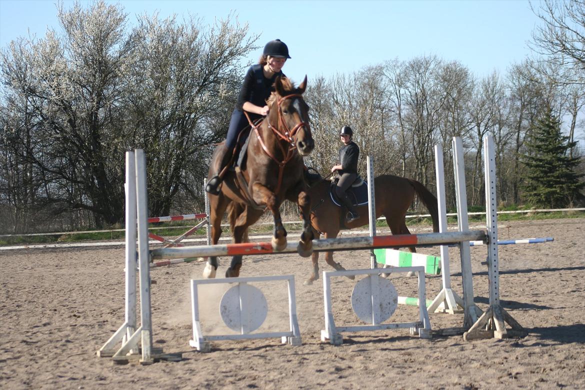 Anden særlig race Donna - Første udetræning april 2012 billede 13