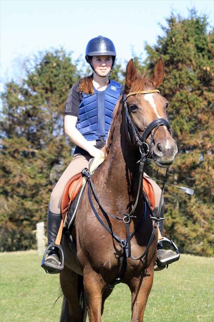 Anden særlig race Donna - Glad ekvipage efter tærren april 2012 billede 12