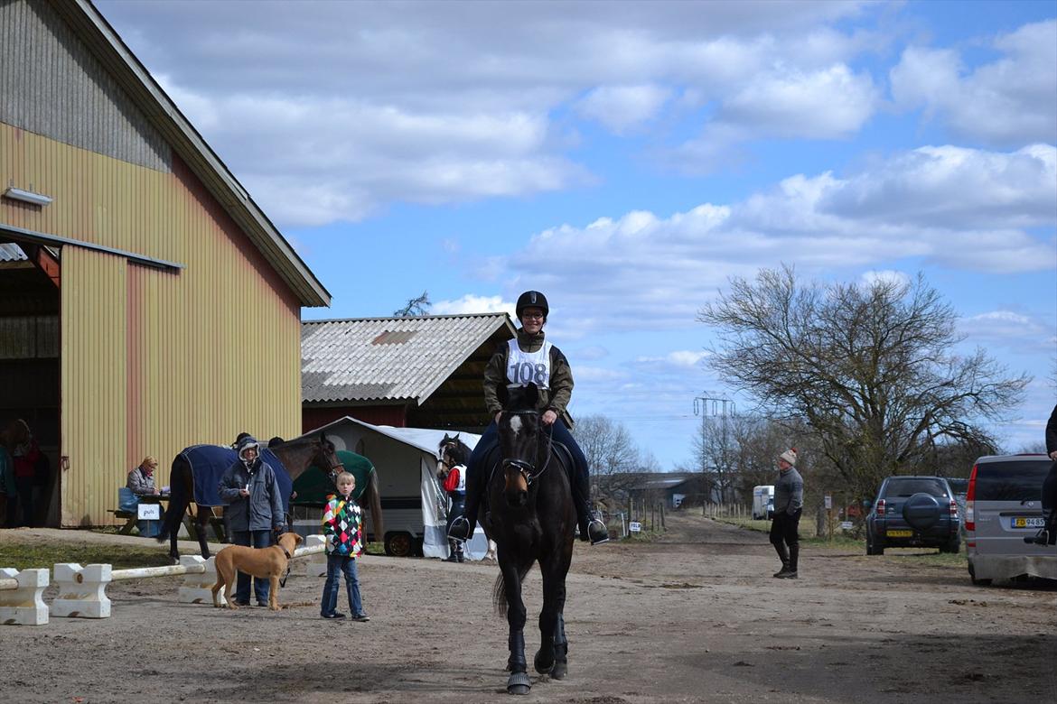 Anden særlig race Chiffon la bevuee billede 3