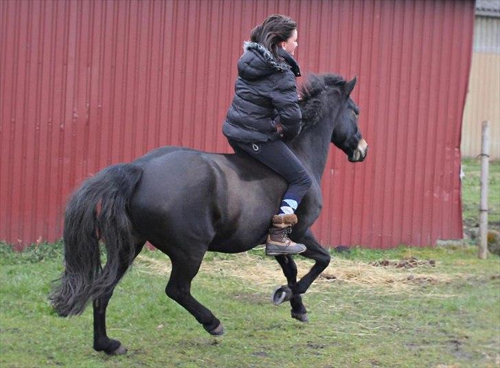 Anden særlig race Rubinja - SOLGT - Elsker dig <3 billede 15