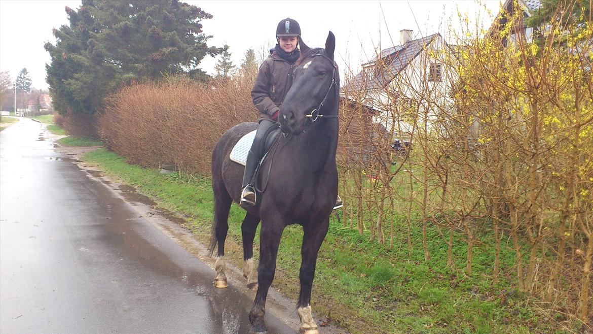 Oldenborg Odin billede 5