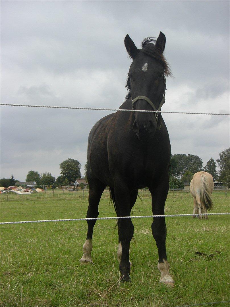 Oldenborg Odin billede 11