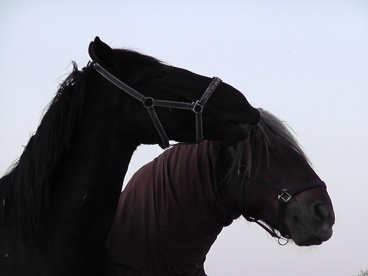 Oldenborg Odin billede 13