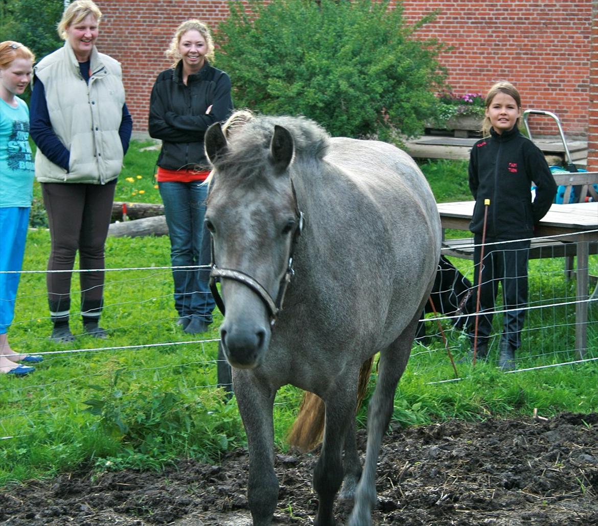 Anden særlig race Aisha (elsket+savnet) - Aisha på fold ca. to år gammel:) billede 3