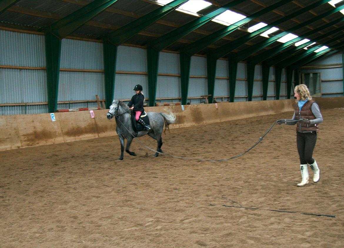 Anden særlig race Aisha (elsket+savnet) - Galop anspring til vores aller første galop:) billede 13