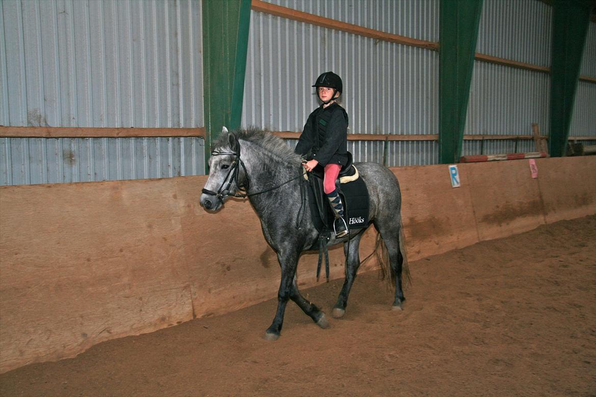 Anden særlig race Aisha (elsket+savnet) - Rider lidt på Tøsen:) billede 7