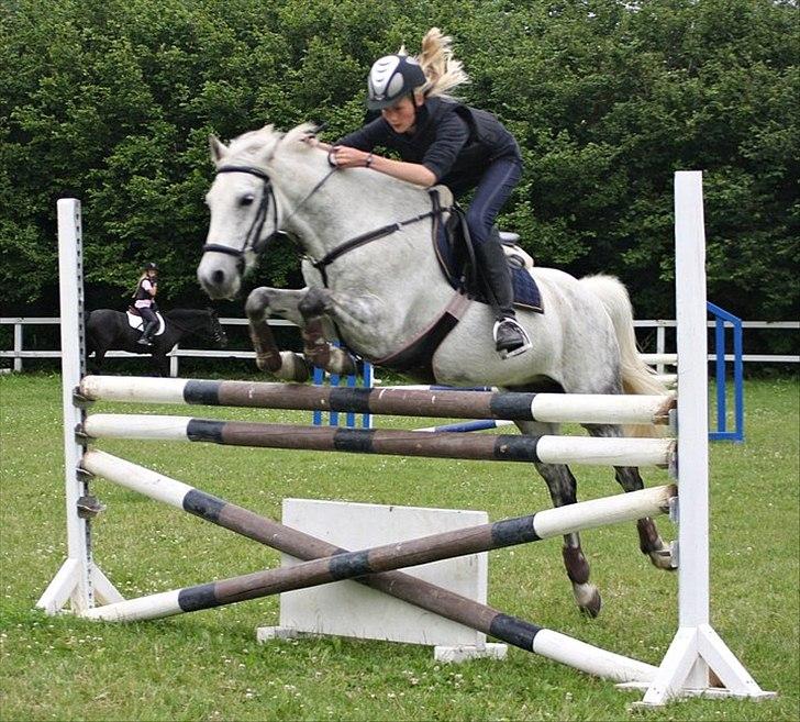 Irsk Sportspony IRISH JOKER - '' I denne verden er du måske kun en ting. Men i min verden er du alting ''

Foto: Anja Andersen tak.  billede 12
