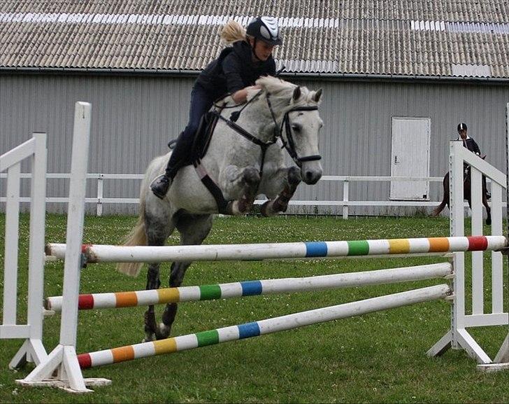 Irsk Sportspony IRISH JOKER - '' A memory lasts forever, it never does die. True friends stay together and never say goodbye.''

Foto: Anja andersen billede 1