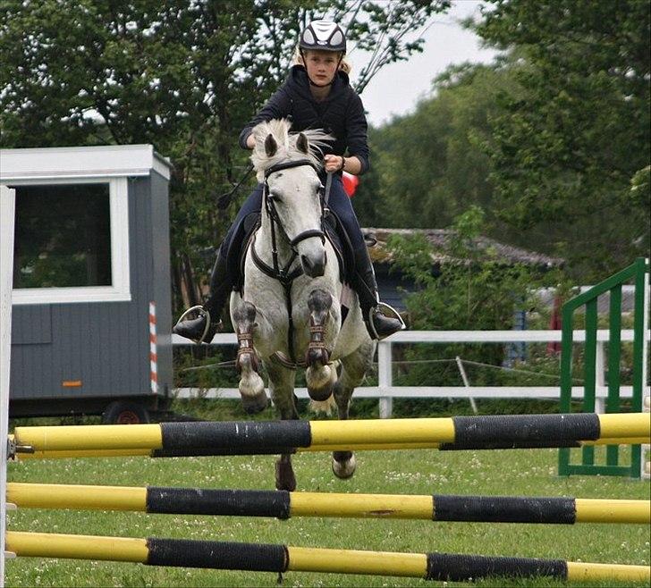 Irsk Sportspony IRISH JOKER - Jeg elsker dig Joker!<3

Foto: Anja Andersen. billede 13
