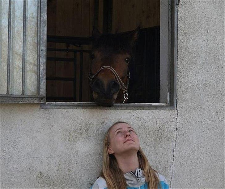 Anden særlig race Damgårdens Mister Mani - 26 marts 2012 billede 4