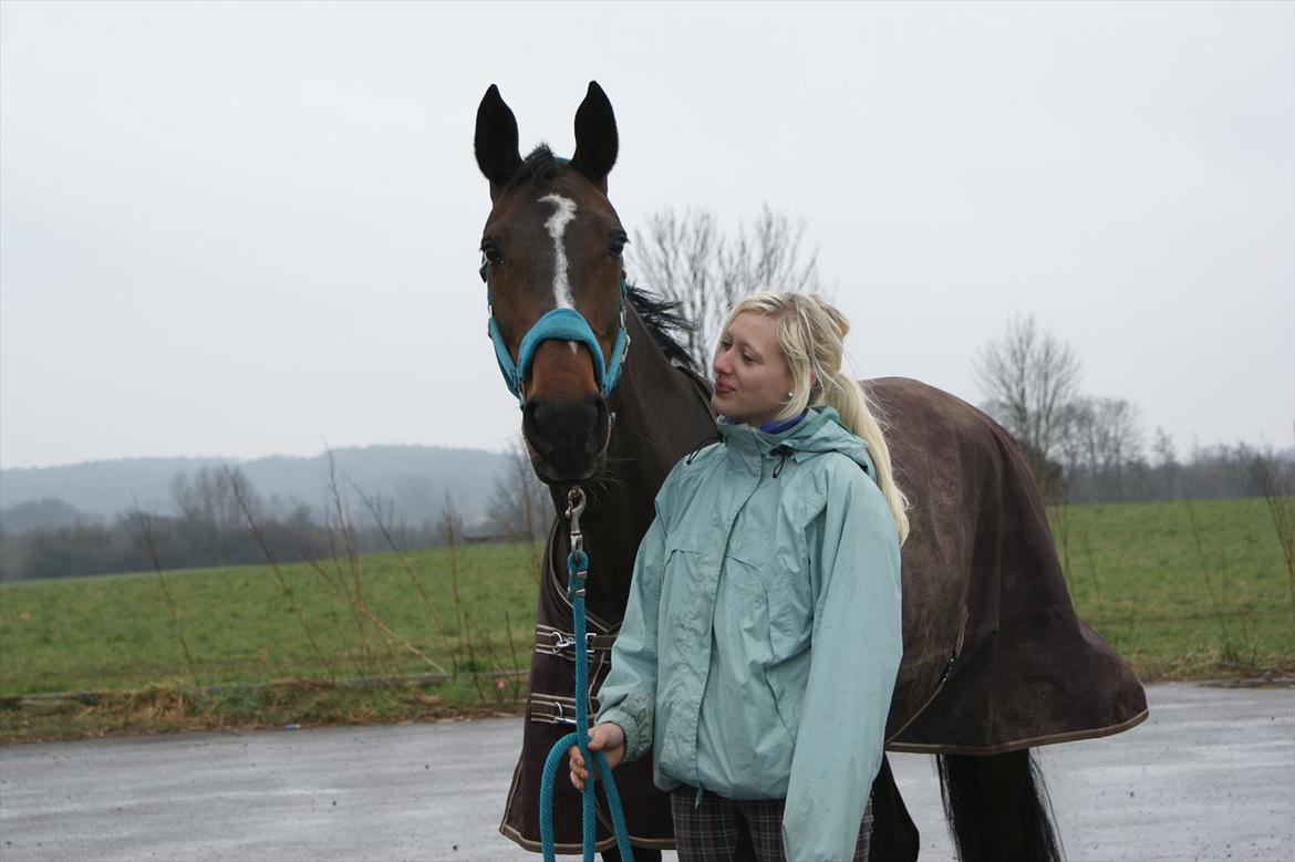 Hannoveraner l »Ramina« - Kærlighed <3 billede 12