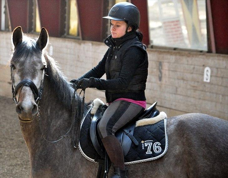 Anden særlig race Hegnsholts Felix - 08.04.12 billede 2