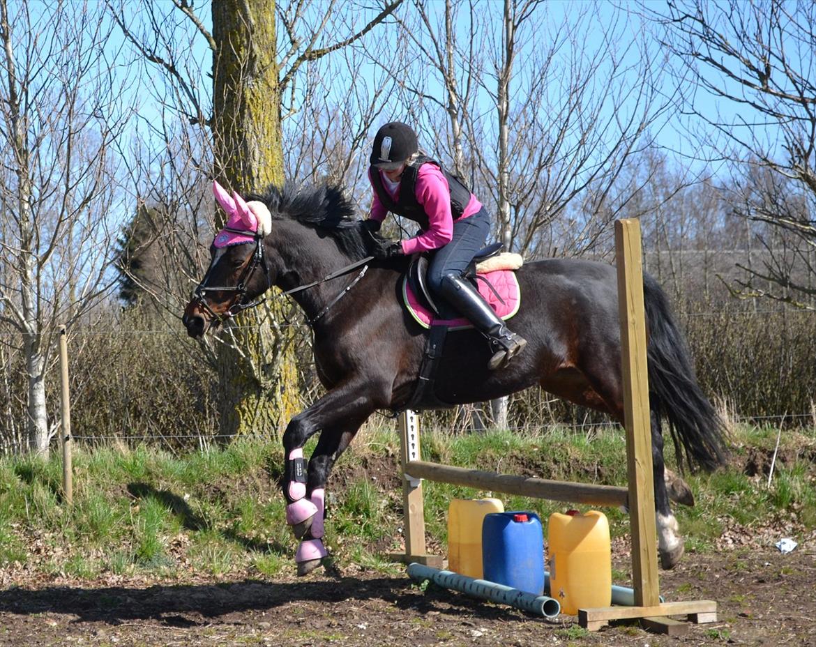 Oldenborg Rosenhavens Sindi - påskeferie 2012 <3 i pink outfit :D hehe foto:sabrine billede 12