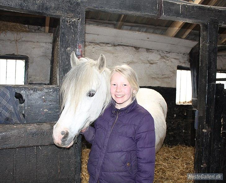 Anden særlig race Andy billede 10