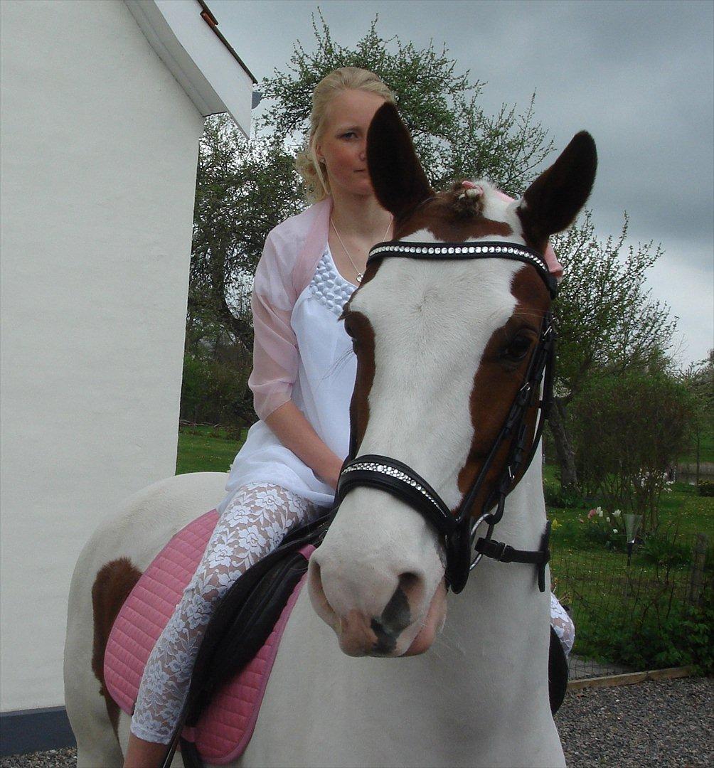 Pinto • CANUPA WAKAN AF VÆNGELY • - 3) Konfirmation, 9 maj 2010 ♥♥
Foto:// Anne Dalskov.  billede 3