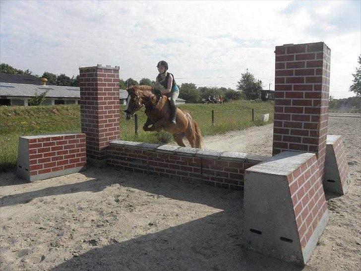 Anden særlig race Laban *Labbe* - Den her dag glemmer jeg aldrig :-) Fantastisk ridelejr, med fantastiske piger, og self. Labbe! <3 billede 11