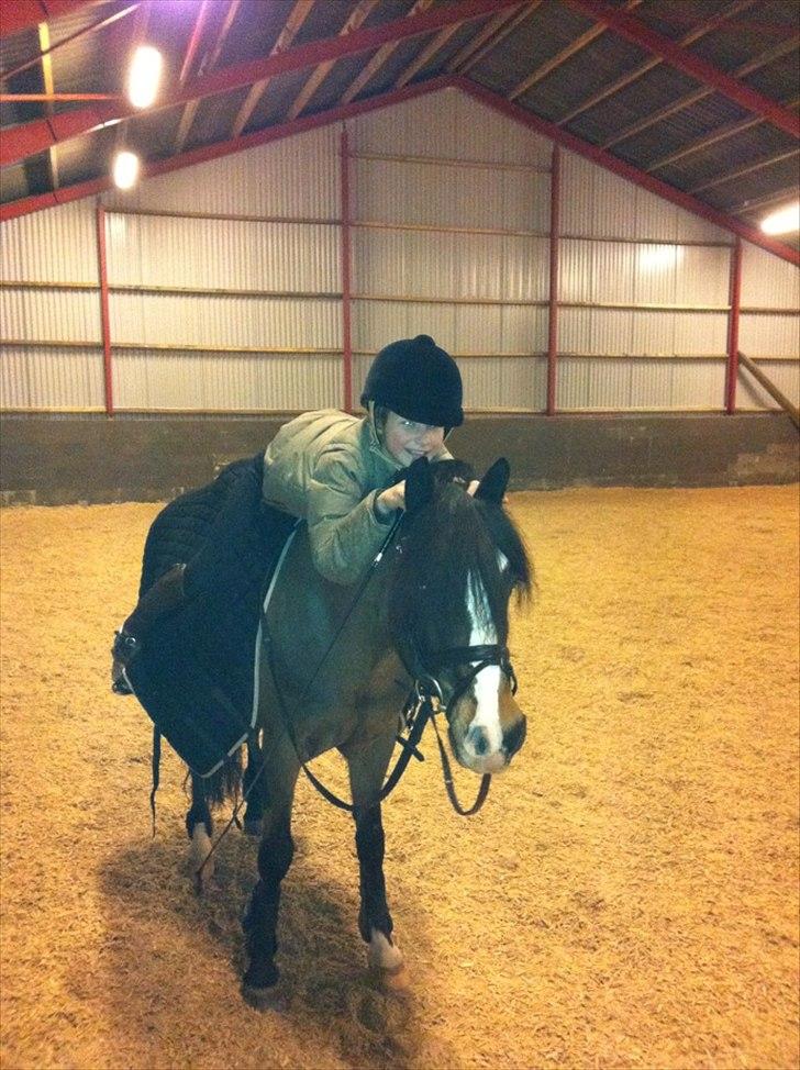 New Forest Stegstedgård Zimba billede 2