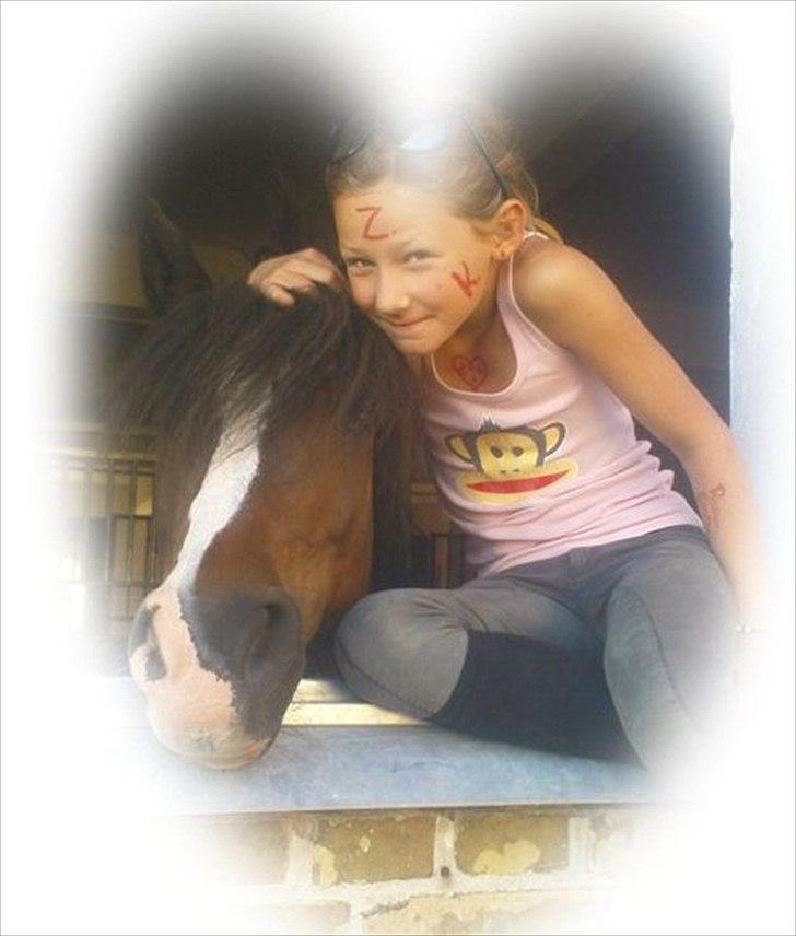 New Forest Stegstedgård Zimba billede 4