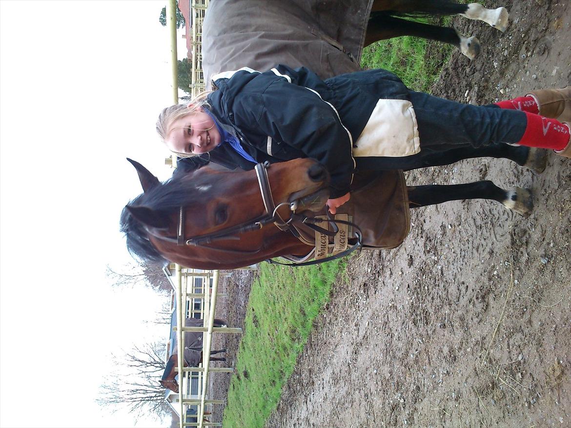 Anden særlig race Pheasant´s Quincy - nårh putte hej<3 billede 8