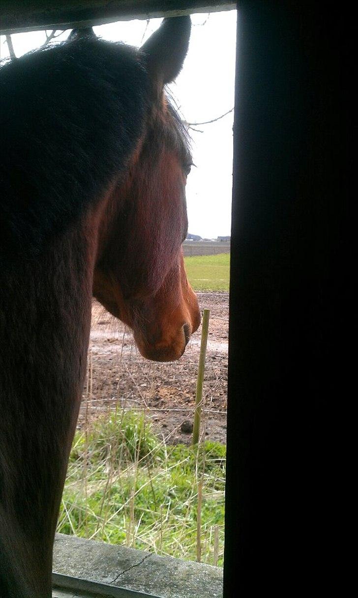 Traver Lorina air <3 - Min skat...<3 billede 16