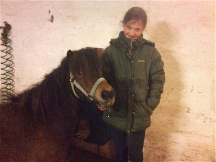 Anden særlig race marie - ihh giv mig nu de godbidder :D billede 6
