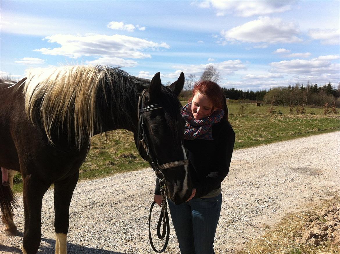 Barockpinto Al Capone - love <3 foto: lillebror billede 13