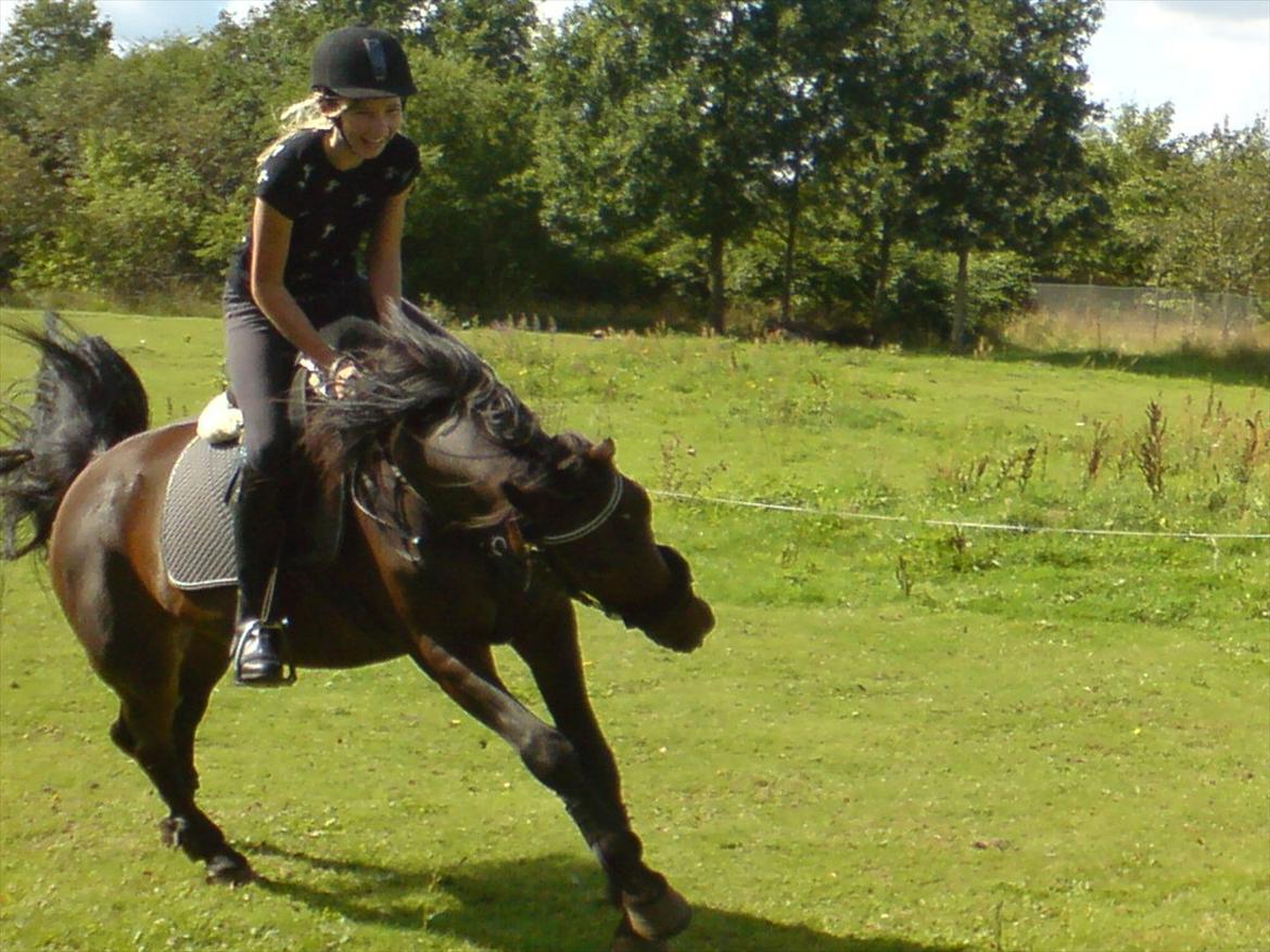 Oldenborg Murmann's Pil - Prinsesse Hop xD billede 18