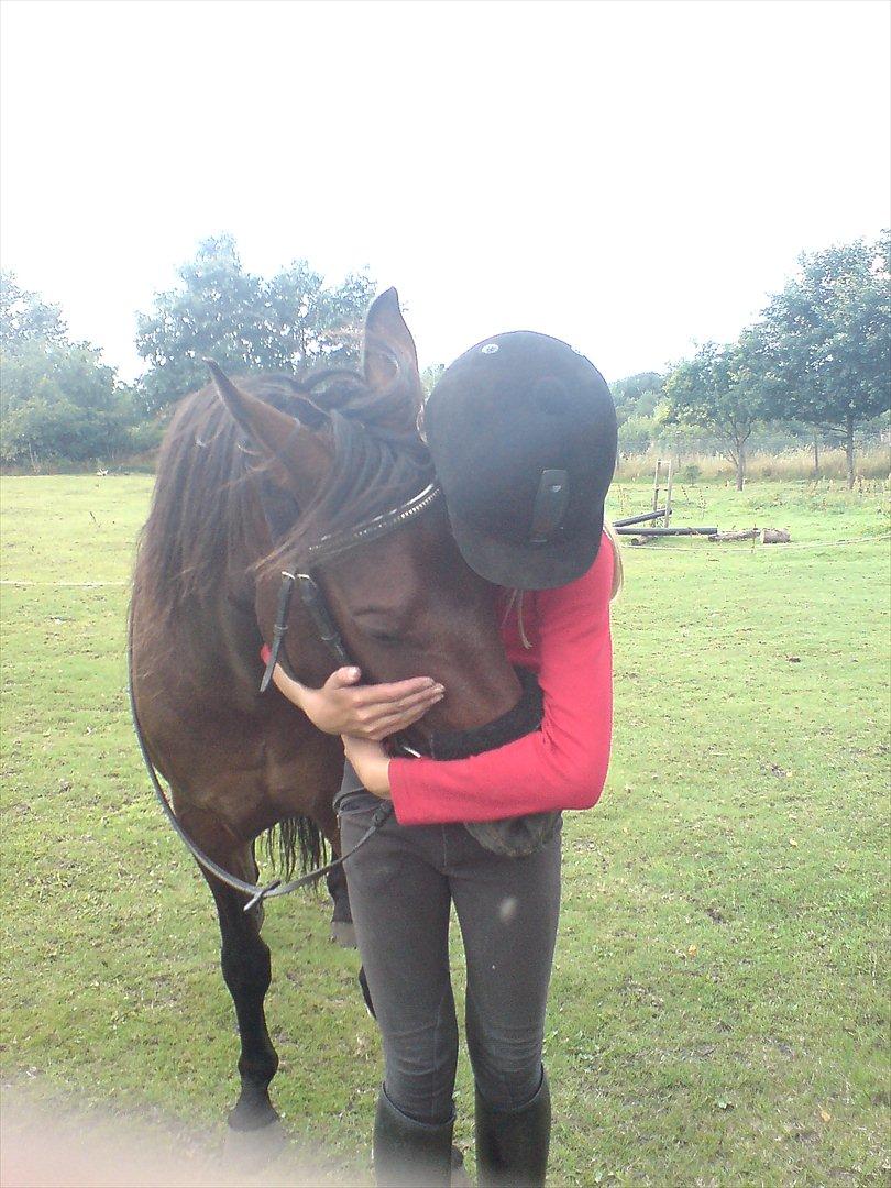 Oldenborg Murmann's Pil - Rå hygge med min søde Pil billede 19