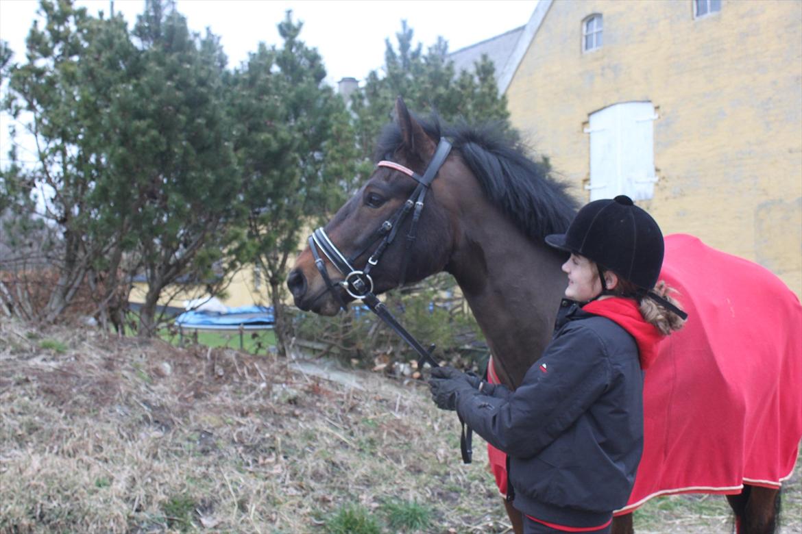 New Forest Meldgaardens Sir Eaton - Babyen fik igen øje på noget billede 8