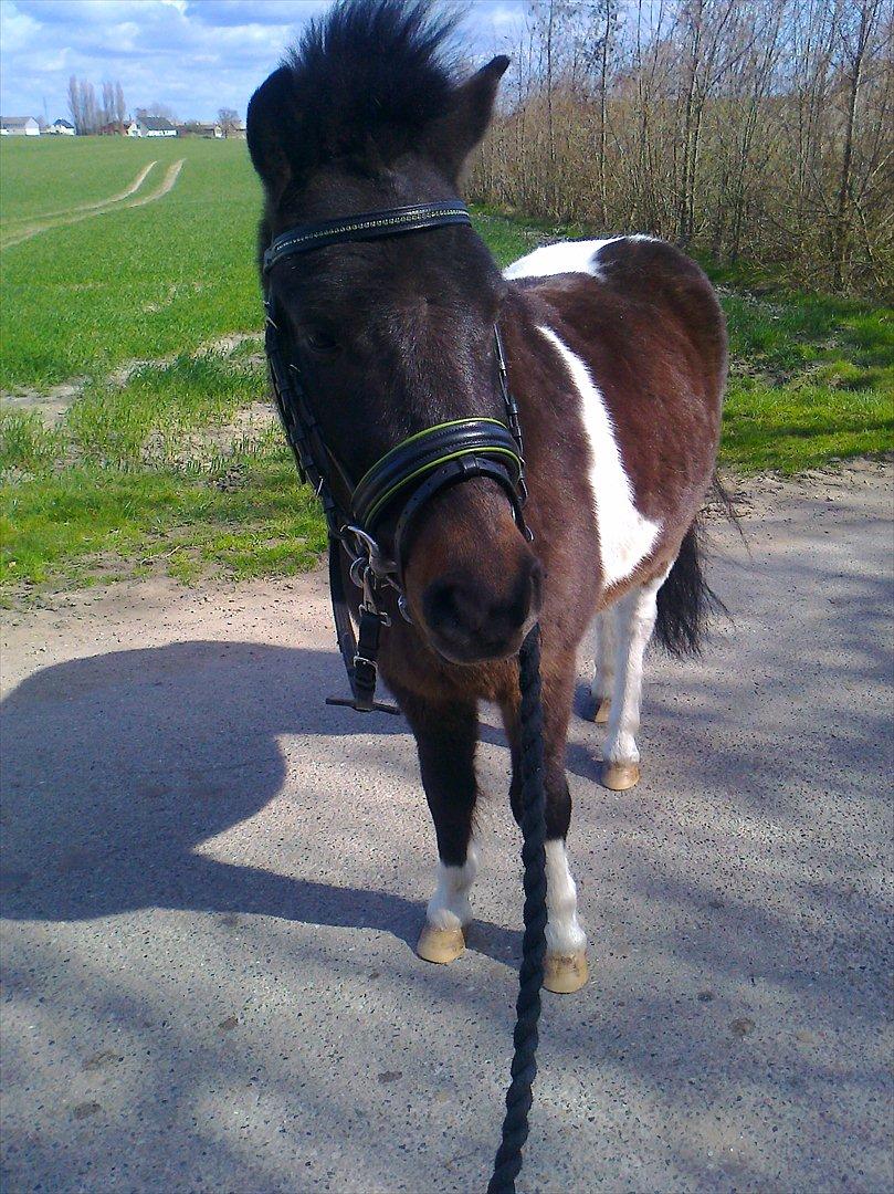 Anden særlig race Hannibal  (BFF<3) - Så smuk !!! :D

ILY :* billede 1