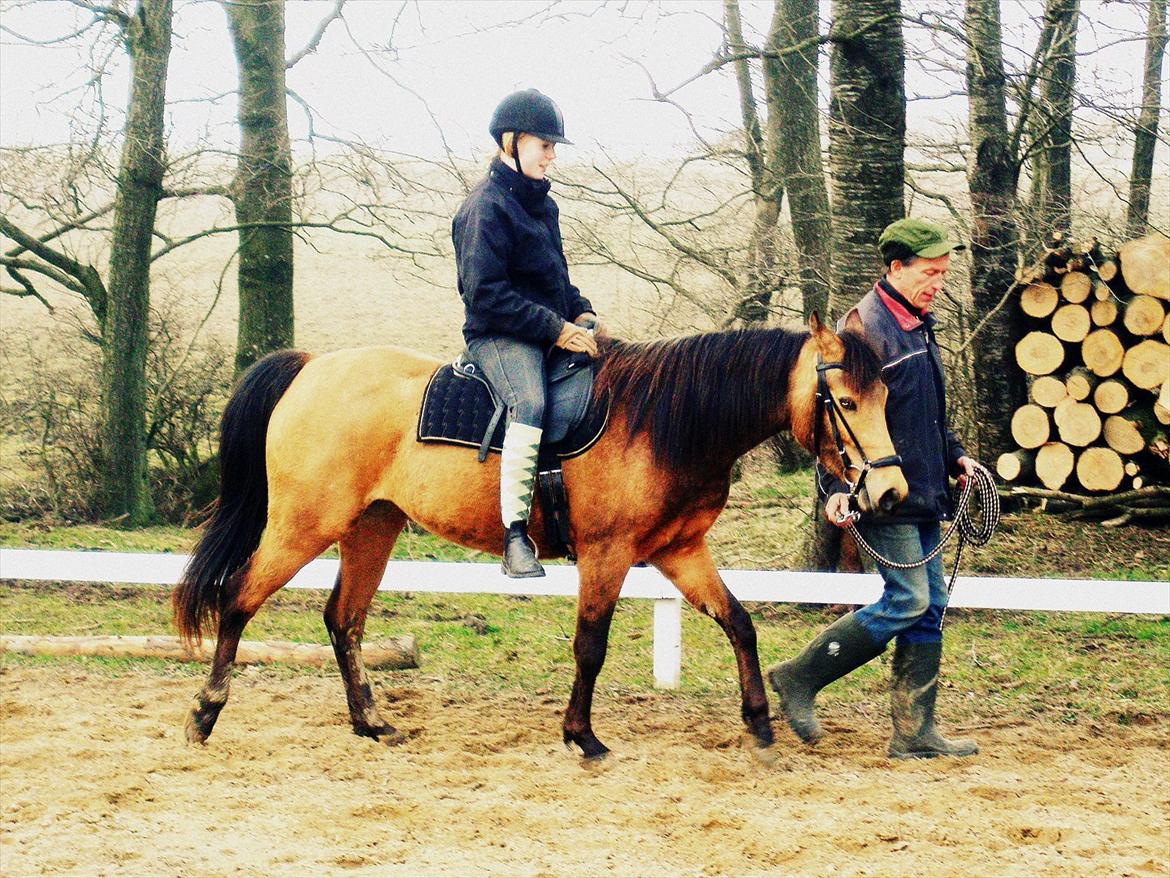 Anden særlig race Gucci - anden gang jeg sidder på hende :) billede 19